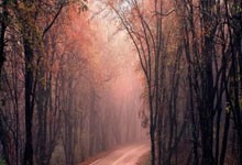 利物浦客场大胜谢菲联，积分榜保持领先