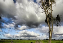 美洲篮球选手在亚洲联赛中夺冠：跨洋荣耀与文化交融