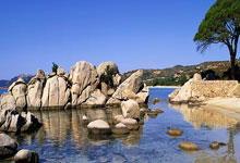 战胜实力强悍的对手展现了球队的韧劲